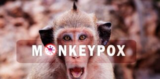 Monkey with "Monkeypox" text overlay.