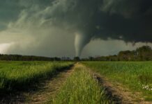 Tornado approaching through a grassy field under dark clouds.