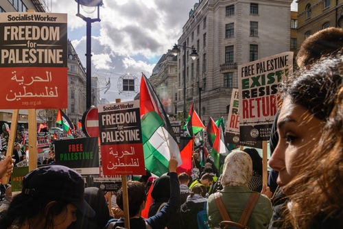 Crowd of protesters holding signs and Palestinian flags during a rally for Palestinian freedom