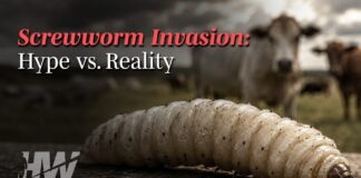 Screwworm Invasion | The HighWire Episode 480