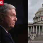 BREAKING: DC medical examiner releases preliminary findings in Lindsey Graham's death