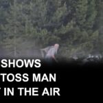 Video shows bison toss man 8 feet in the air at Yellowstone National Park