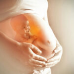 Pregnant woman with illustrated baby inside womb.